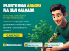 Prefeitura de Papagaios lança campanha para plantio gratuito de árvores em calçadas